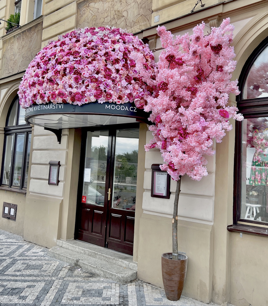 Květinový strom Mydlárna