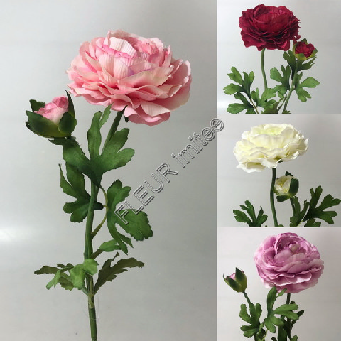 Ranunculus x2  60cm 12/360