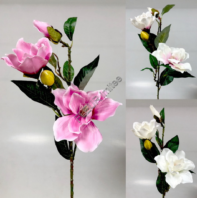 Magnolie x3 80cm 18/108