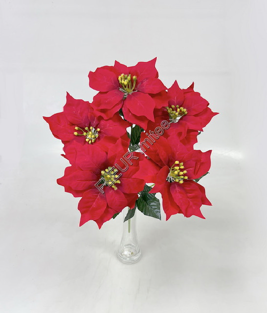 Poinsettia x5  50cm 12/72