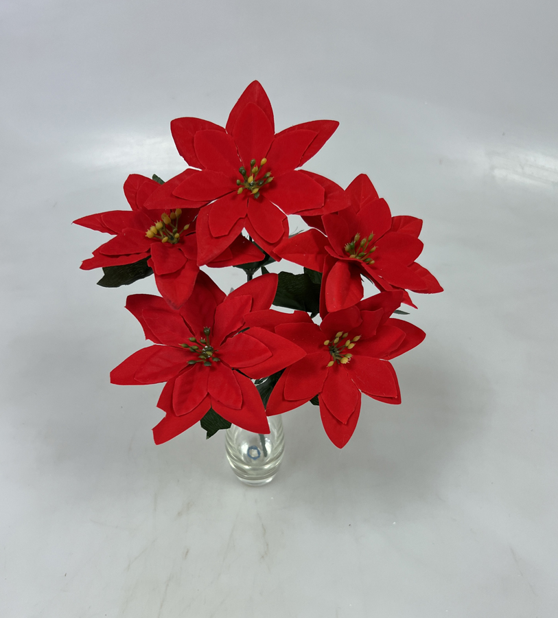 Poinsettia x5 30cm 12/144