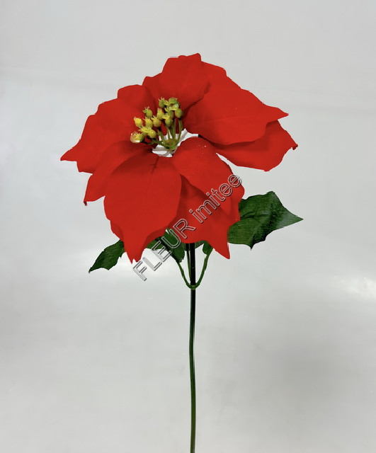 Poinsettia x1  60cm   24/144