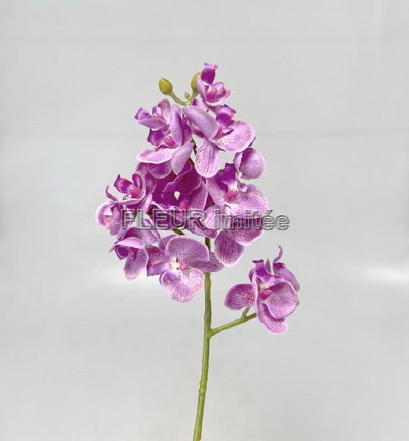 Orchidea x3  55cm 36/360