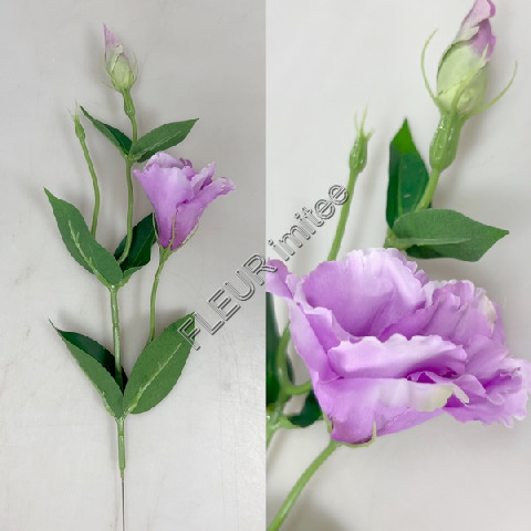 Eustoma x2 49cm 12/180