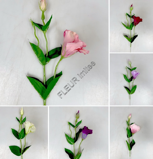 Eustoma x2 49cm 12/180