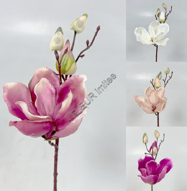 Magnolie 30cm   24/288