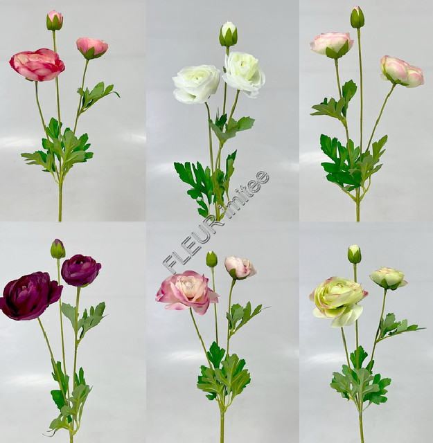 Ranunculus x3 55cm 6/144