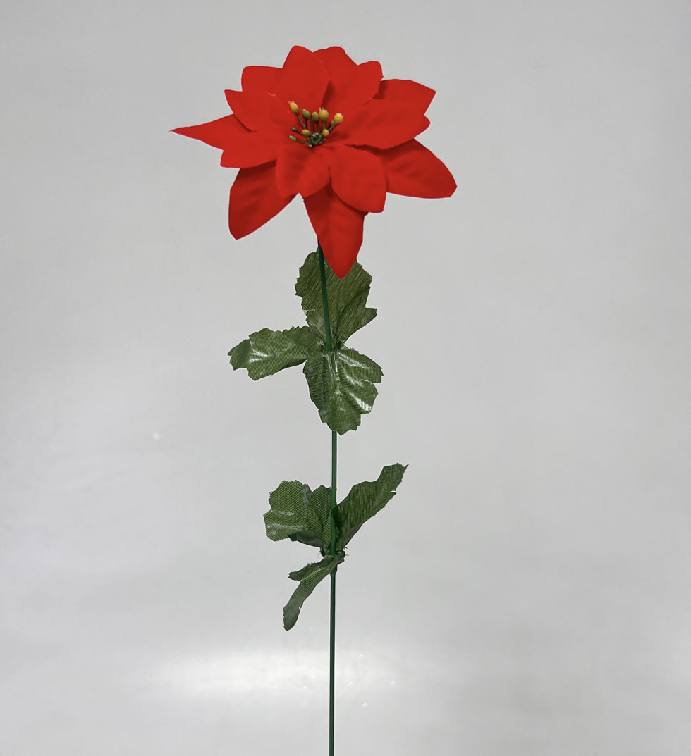 Poinsettia 50/12cm velvet  6/60