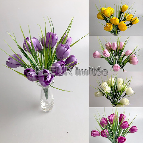 Crocus x12 26cm 24/240