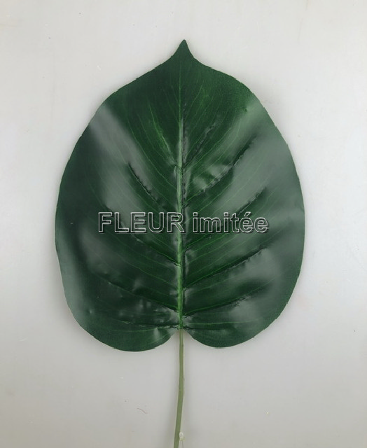 List pothos latex 60cm 12/240