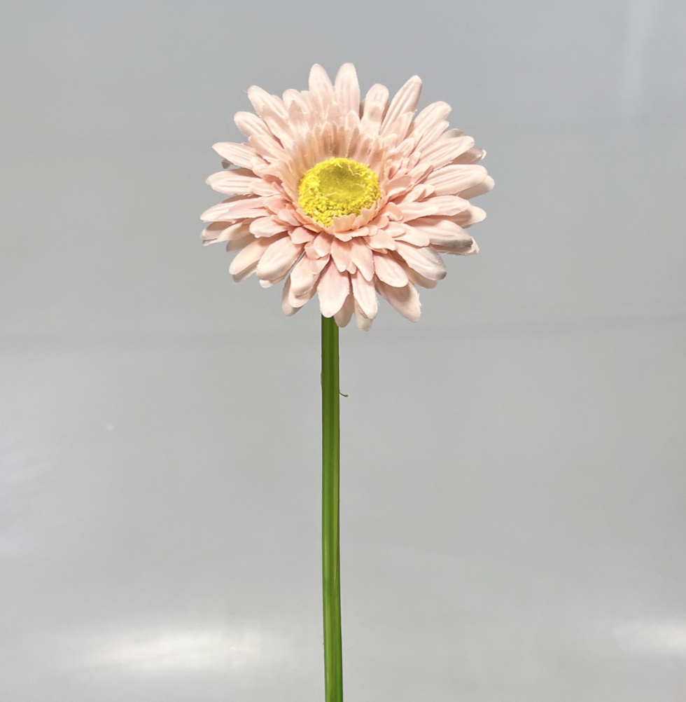 Gerbera 45cm   48/672