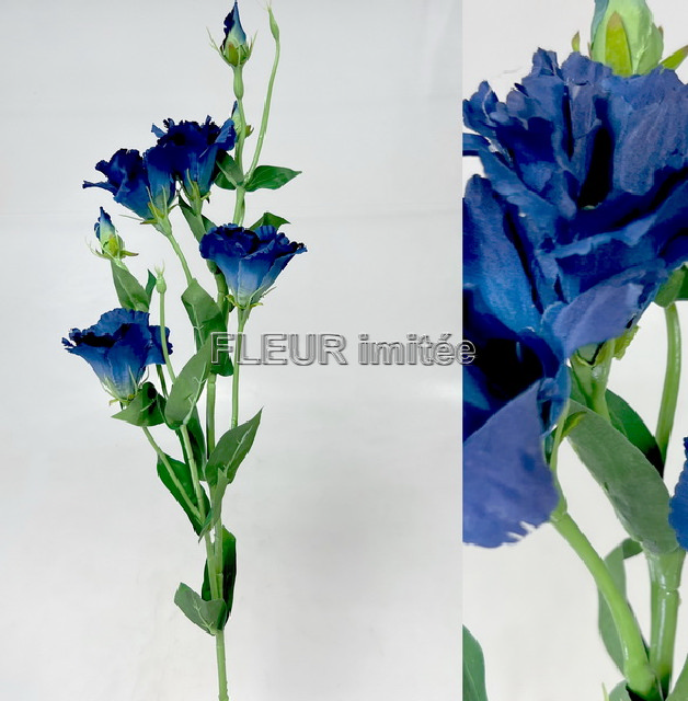 Eustoma x7 85cm S345  24/240