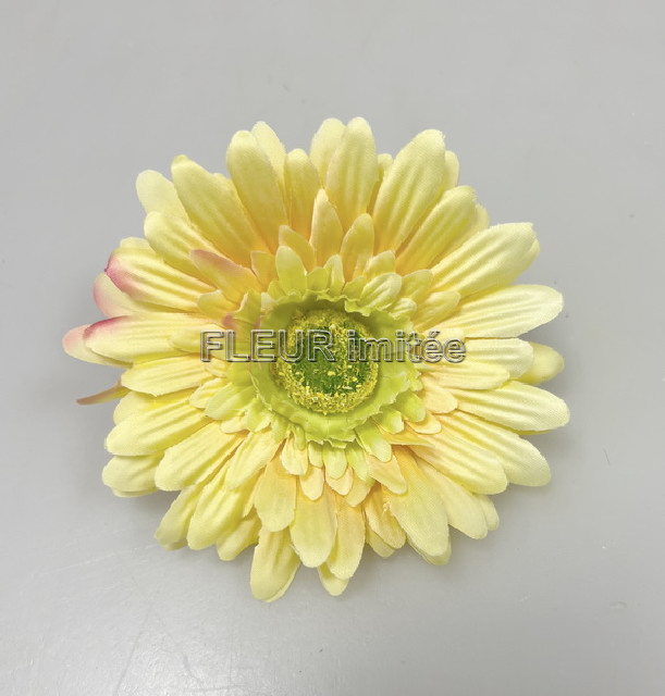 Květ gerbera 8cm  24/96