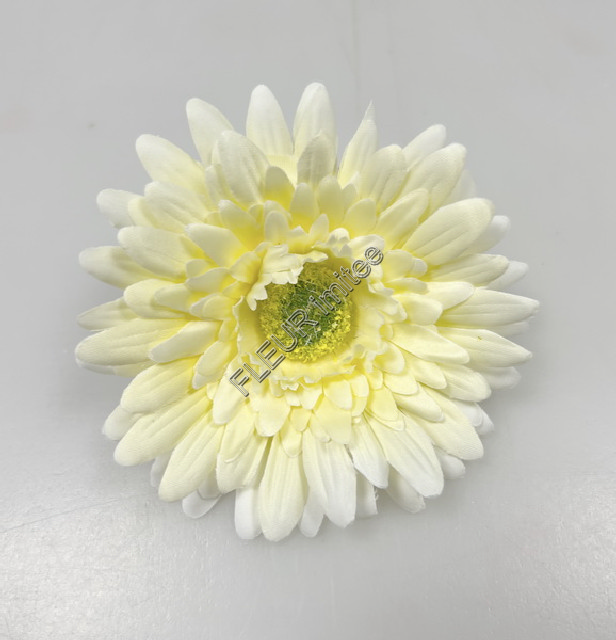 Květ gerbera 8cm  24/96