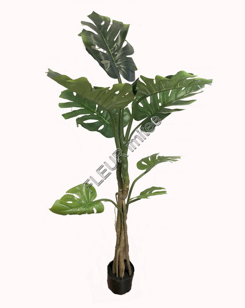 Monstera   130cm 1/4