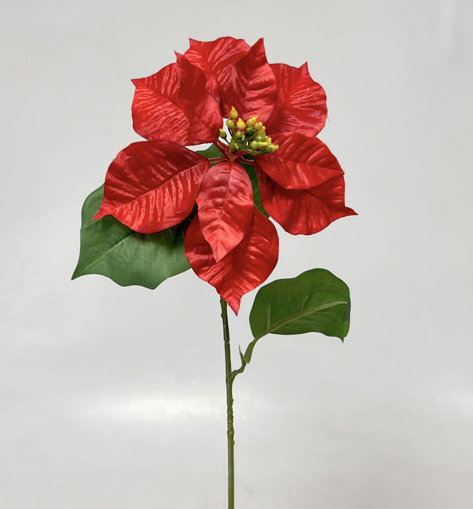 Poinsettia x1  75cm /16cm 12/144