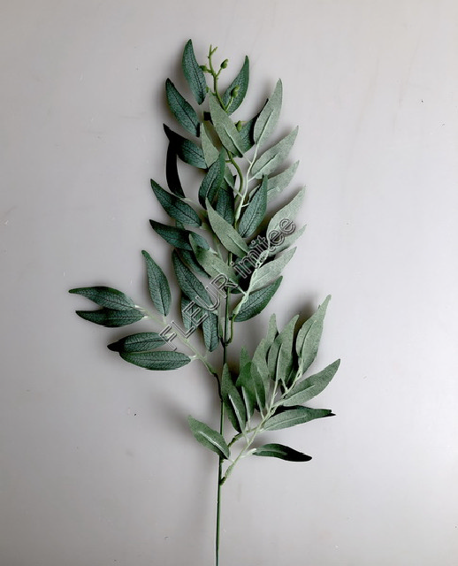 Ruscus 60cm 12/480