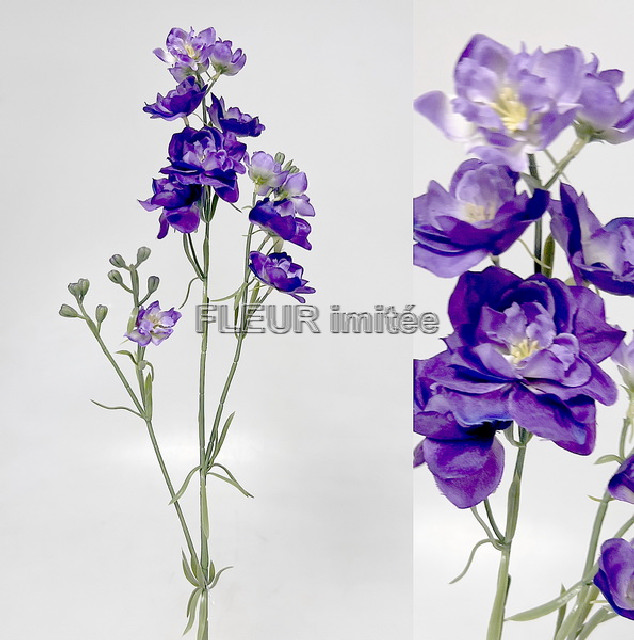 Delphinium mini 84cm 12/180