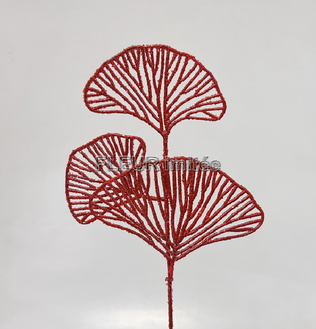 Ginkgo ván.x3  24cm 12/360