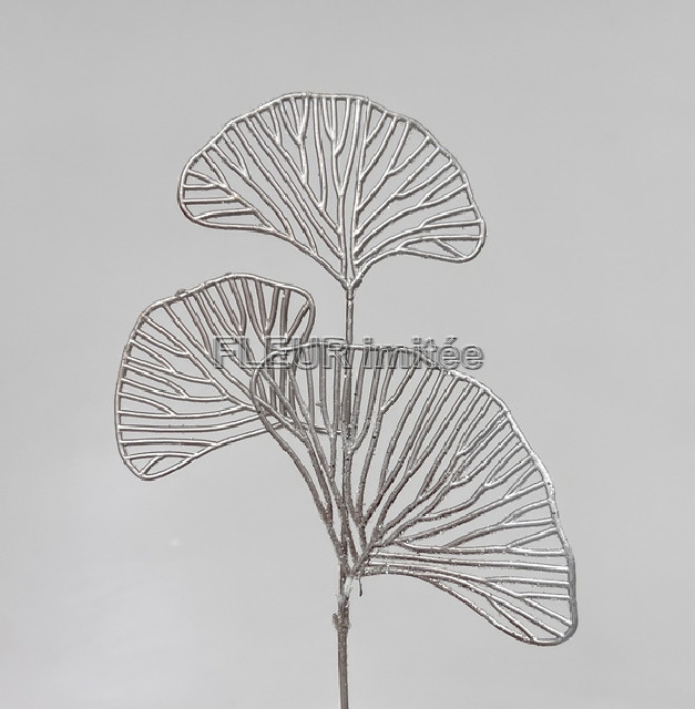 Ginkgo ván.x3  24cm 12/360