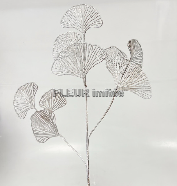 Ginkgo ván.70cm 36/360