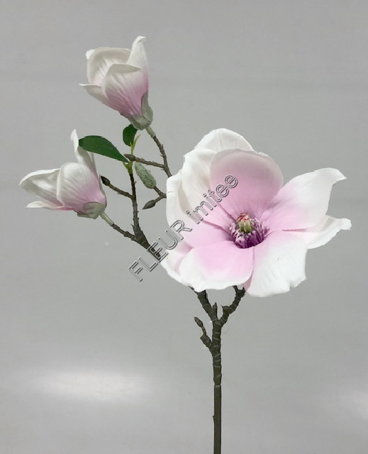 Magnolie x3 36cm 36/216