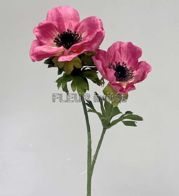 Anemone x2 50cm 24/192