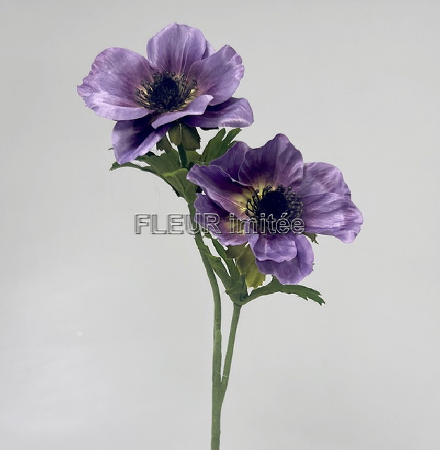 Anemone x2 50cm 24/192